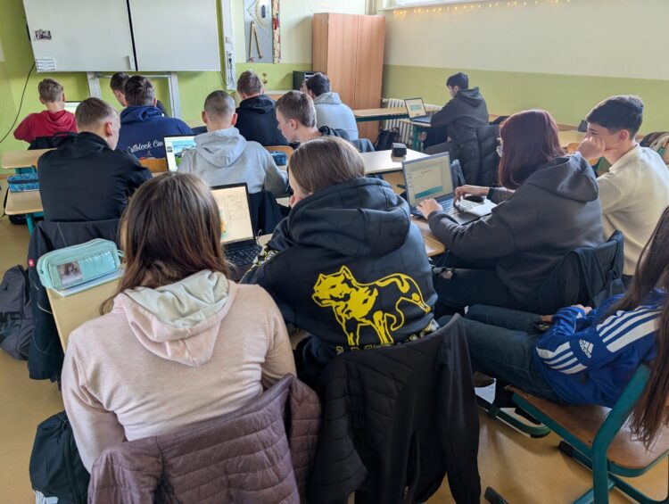 PXL_20241122_121142725
