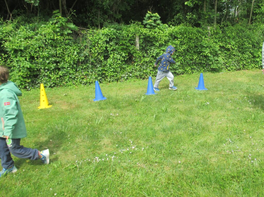 IMG_2013