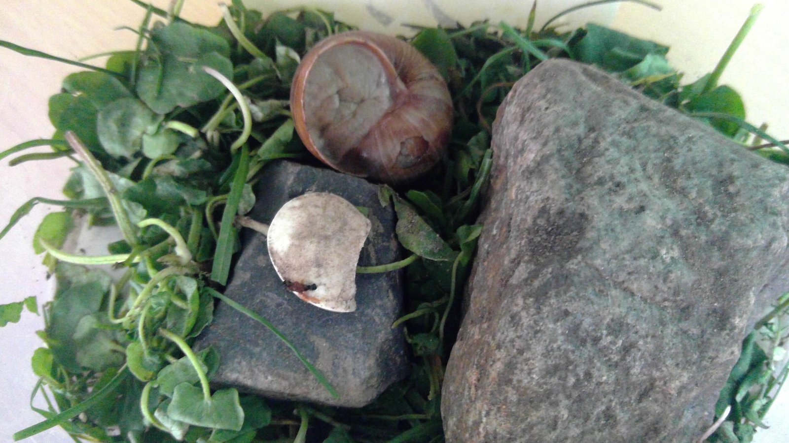 WIN_20250408_12_02_45_Pro