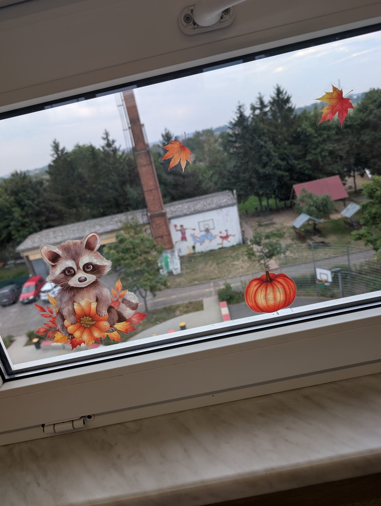 PXL_20250910_063140021