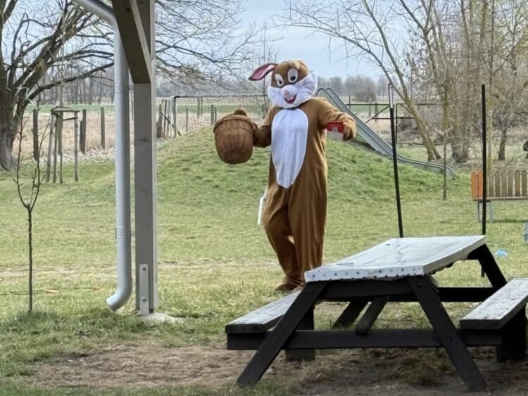 Screenshot_20260326_155805_WhatsApp