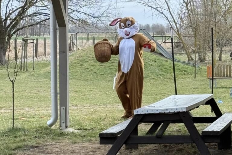 Screenshot_20260326_155805_WhatsApp